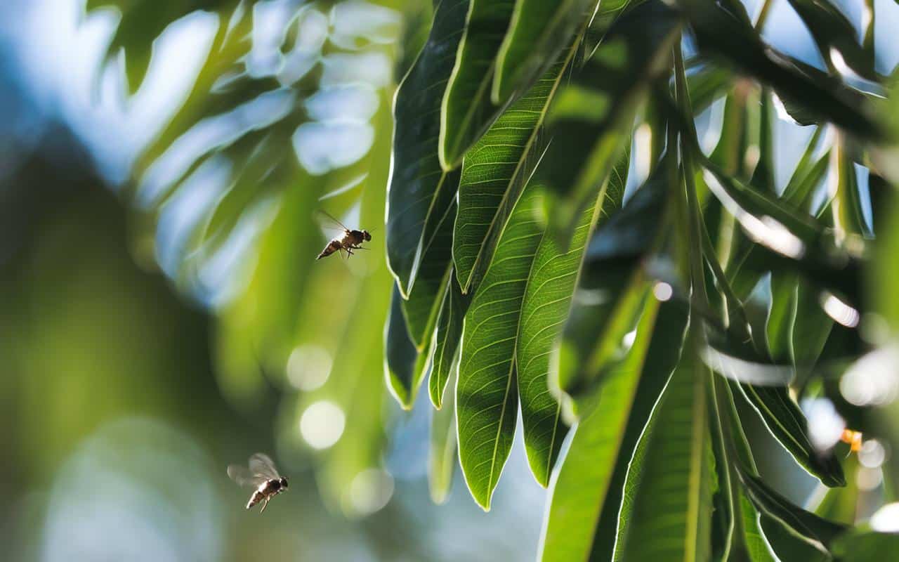 Scopri come un semplice mazzetto di alloro può tenere lontani i parassiti dalla tua casa : un metodo naturale ed economico