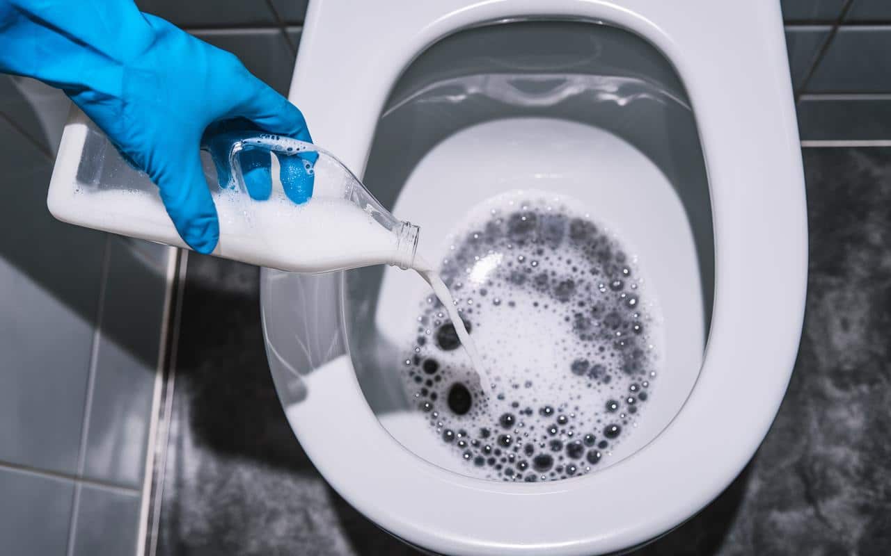 Un metodo rivoluzionario per disinfettare il WC senza ricorrere a sostanze chimiche: scopri come